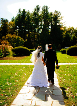 Wedding Couple Hand in Hand